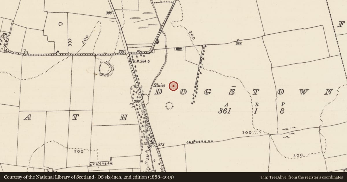 Ordnance Survey six-inch map, 2nd edition (1888–1915) covering the location of Enclosure, Dogstown (Dogstown Par.), County Tipperary South, with a pin at the register's coordinates