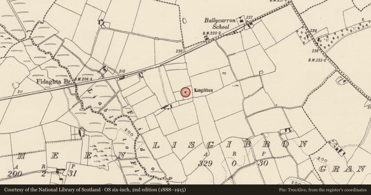 Ordnance Survey six-inch map, 2nd edition (1888–1915) covering the location of Enclosure, Lisgibbon, County Tipperary South, with a pin at the register's coordinates