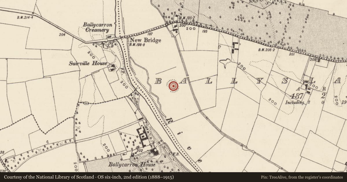 Ordnance Survey six-inch map, 2nd edition (1888–1915) covering the location of Hut site, Ballyslatteen, County Tipperary South, with a pin at the register's coordinates