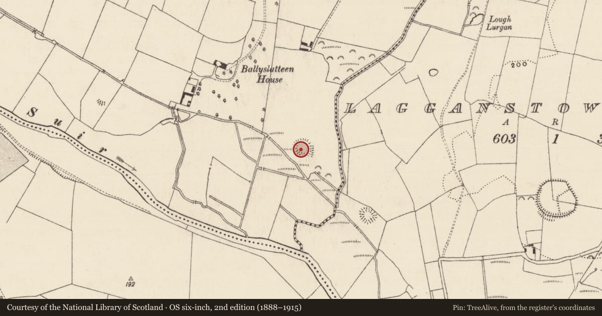 Ordnance Survey six-inch map, 2nd edition (1888–1915) covering the location of Enclosure, Ballyslatteen, County Tipperary South, with a pin at the register's coordinates
