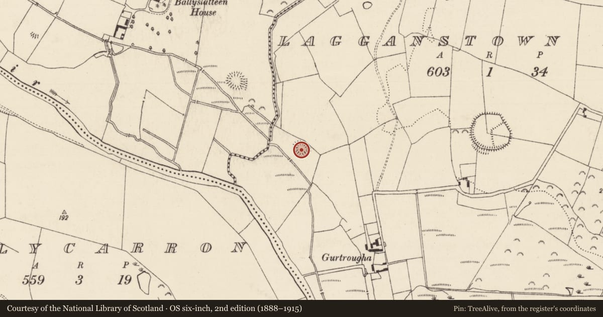 Ordnance Survey six-inch map, 2nd edition (1888–1915) covering the location of Enclosure, Lagganstown Lower, County Tipperary South, with a pin at the register's coordinates