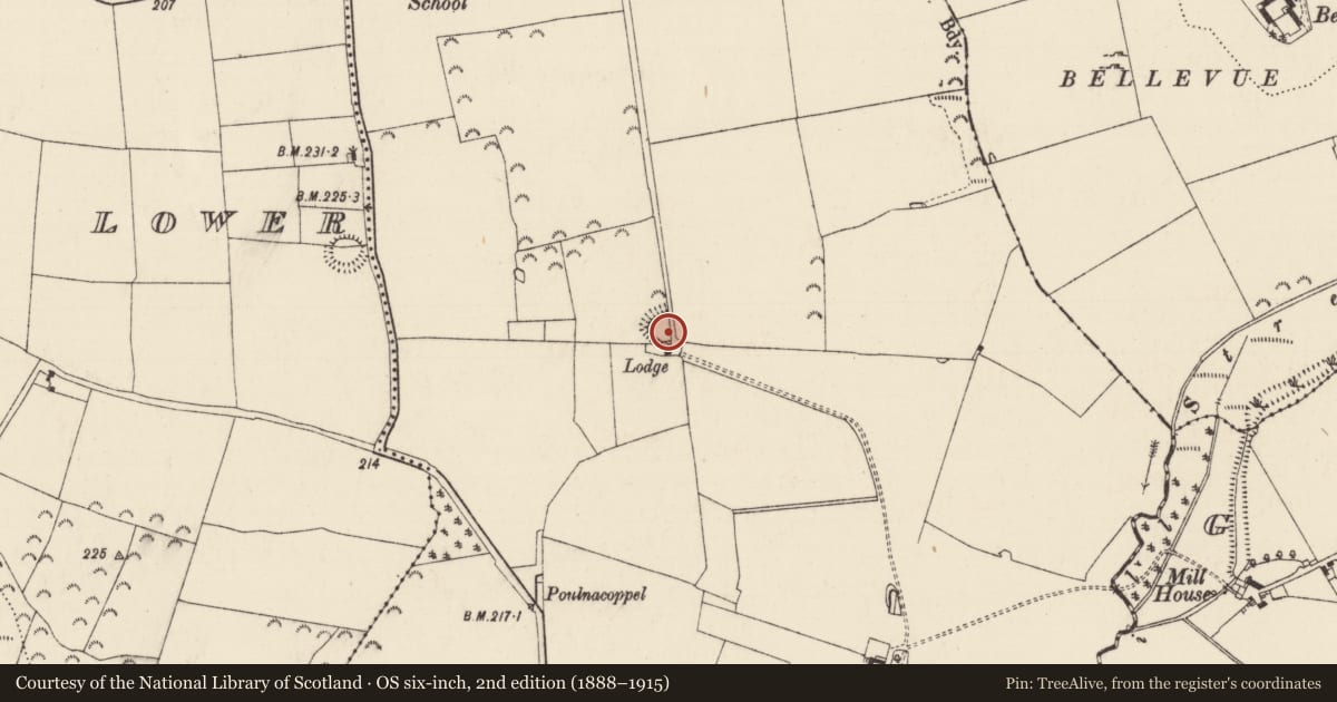 Ordnance Survey six-inch map, 2nd edition (1888–1915) covering the location of Enclosure, Hymenstown, County Tipperary South, with a pin at the register's coordinates