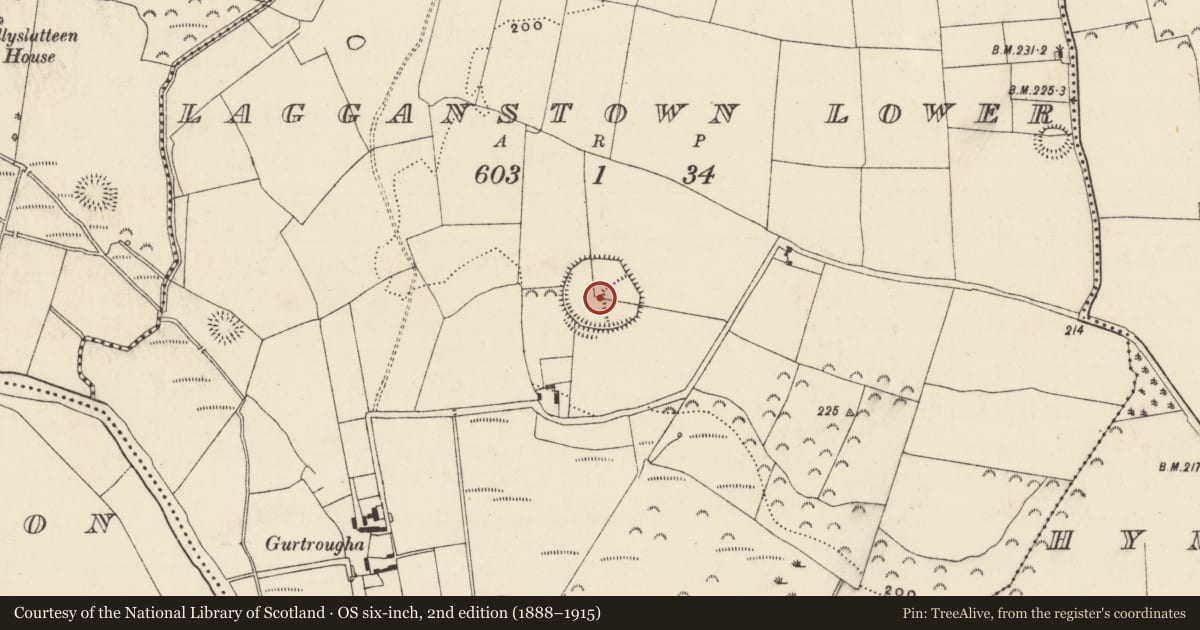 Ordnance Survey six-inch map, 2nd edition (1888–1915) covering the location of Enclosure, Lagganstown Lower, County Tipperary South, with a pin at the register's coordinates