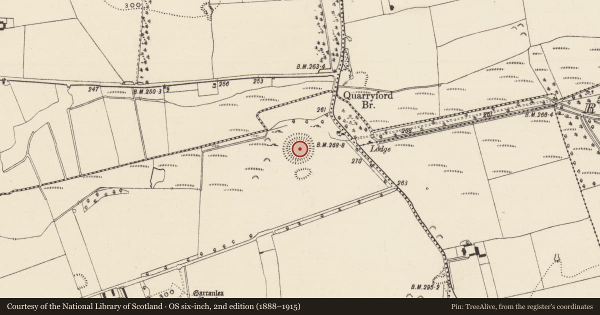 Ordnance Survey six-inch map, 2nd edition (1888–1915) covering the location of Ringfort - rath, Garranlea, County Tipperary South, with a pin at the register's coordinates
