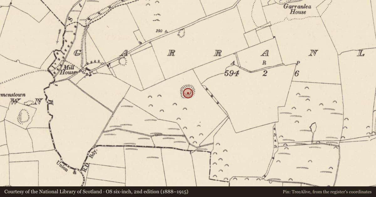 Ordnance Survey six-inch map, 2nd edition (1888–1915) covering the location of Ringfort - rath, Garranlea, County Tipperary South, with a pin at the register's coordinates