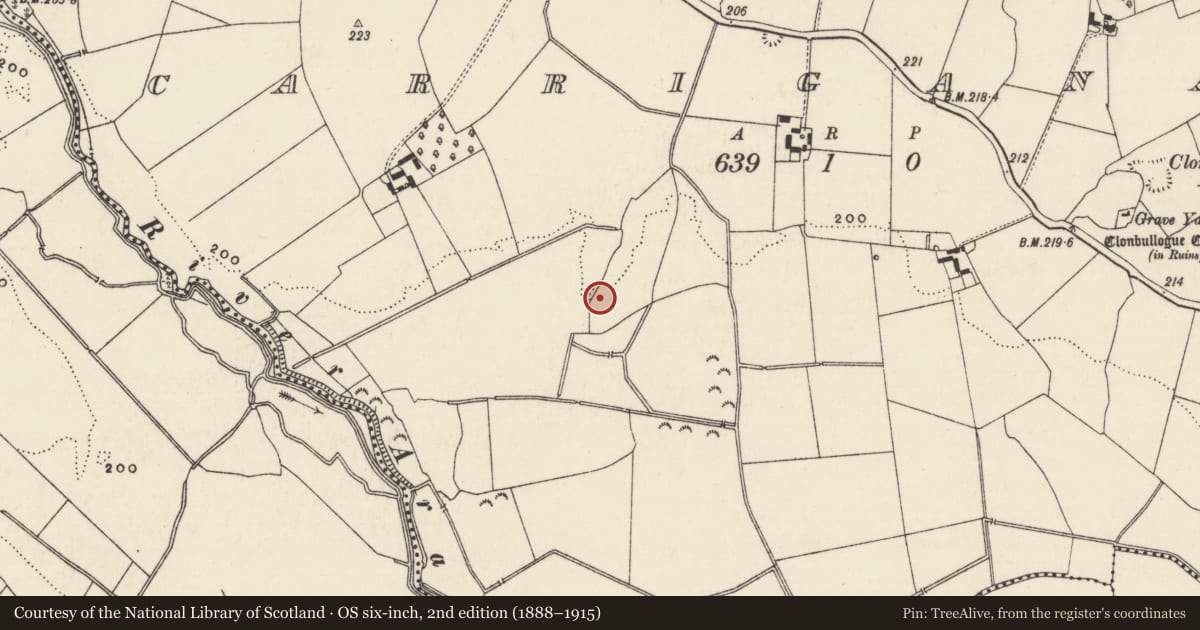 Ordnance Survey six-inch map, 2nd edition (1888–1915) covering the location of Barrow - ditch barrow, Carriganagh, County Tipperary South, with a pin at the register's coordinates