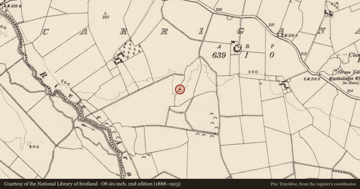 Ordnance Survey six-inch map, 2nd edition (1888–1915) covering the location of Barrow - ditch barrow, Carriganagh, County Tipperary South, with a pin at the register's coordinates