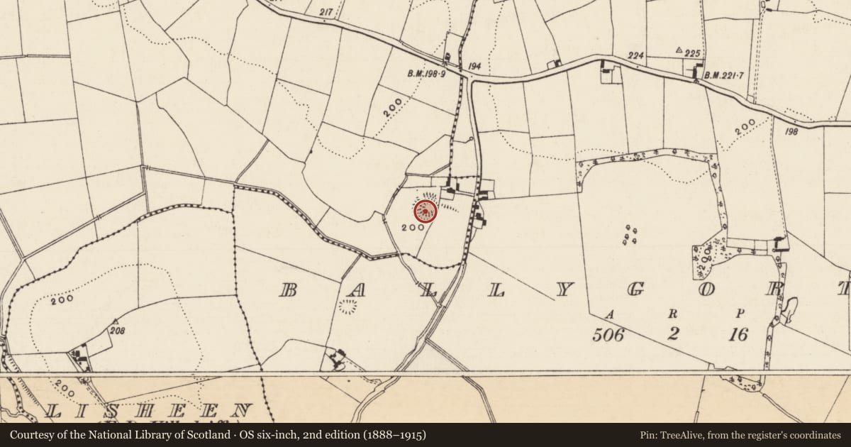 Ordnance Survey six-inch map, 2nd edition (1888–1915) covering the location of Enclosure, Carriganagh, County Tipperary South, with a pin at the register's coordinates