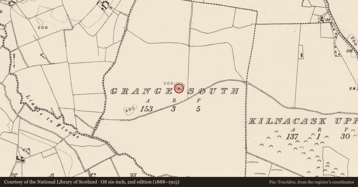 Ordnance Survey six-inch map, 2nd edition (1888–1915) covering the location of Enclosure, Grange South, County Tipperary South, with a pin at the register's coordinates