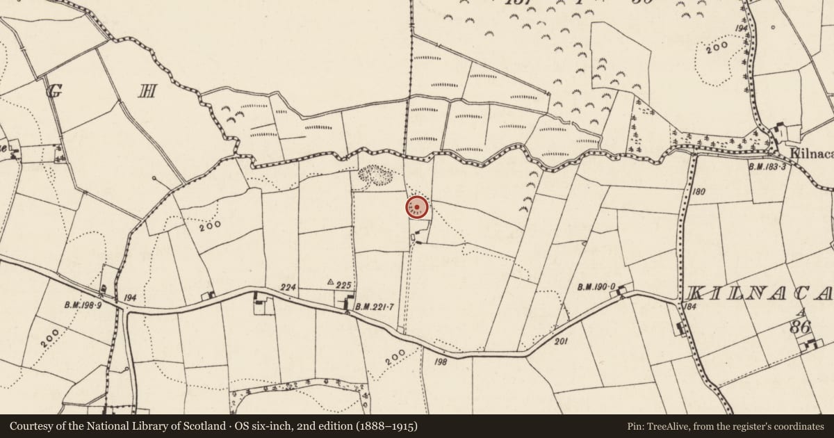 Ordnance Survey six-inch map, 2nd edition (1888–1915) covering the location of Enclosure, Ballygorteen (Clonbullogue Par.), County Tipperary South, with a pin at the register's coordinates