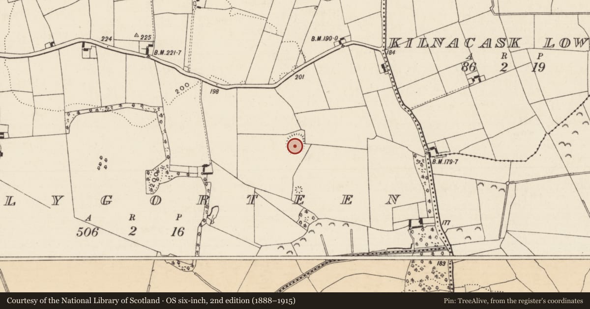 Ordnance Survey six-inch map, 2nd edition (1888–1915) covering the location of Enclosure, Ballygorteen (Clonbullogue Par.), County Tipperary South, with a pin at the register's coordinates