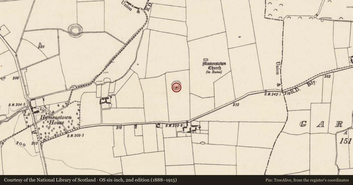 Ordnance Survey six-inch map, 2nd edition (1888–1915) covering the location of Enclosure, Masterstown, County Tipperary South, with a pin at the register's coordinates