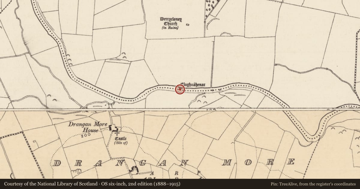 Ordnance Survey six-inch map, 2nd edition (1888–1915) covering the location of Standing stone, Derrycloney, County Tipperary South, with a pin at the register's coordinates