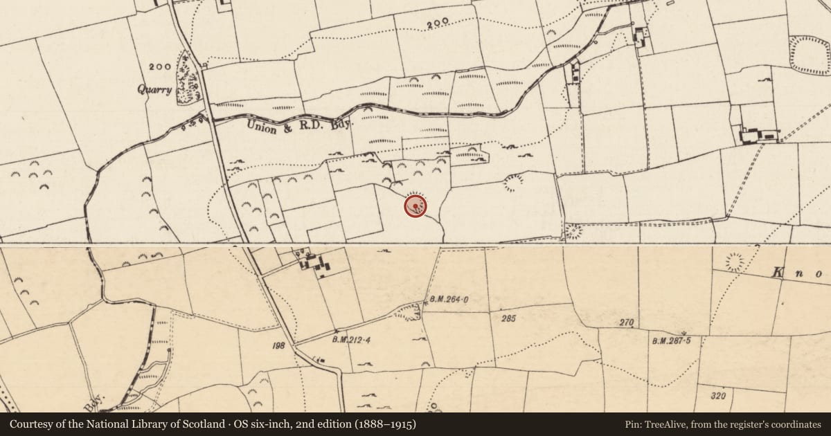 Ordnance Survey six-inch map, 2nd edition (1888–1915) covering the location of Ringfort - rath, Knockgraffon, County Tipperary South, with a pin at the register's coordinates