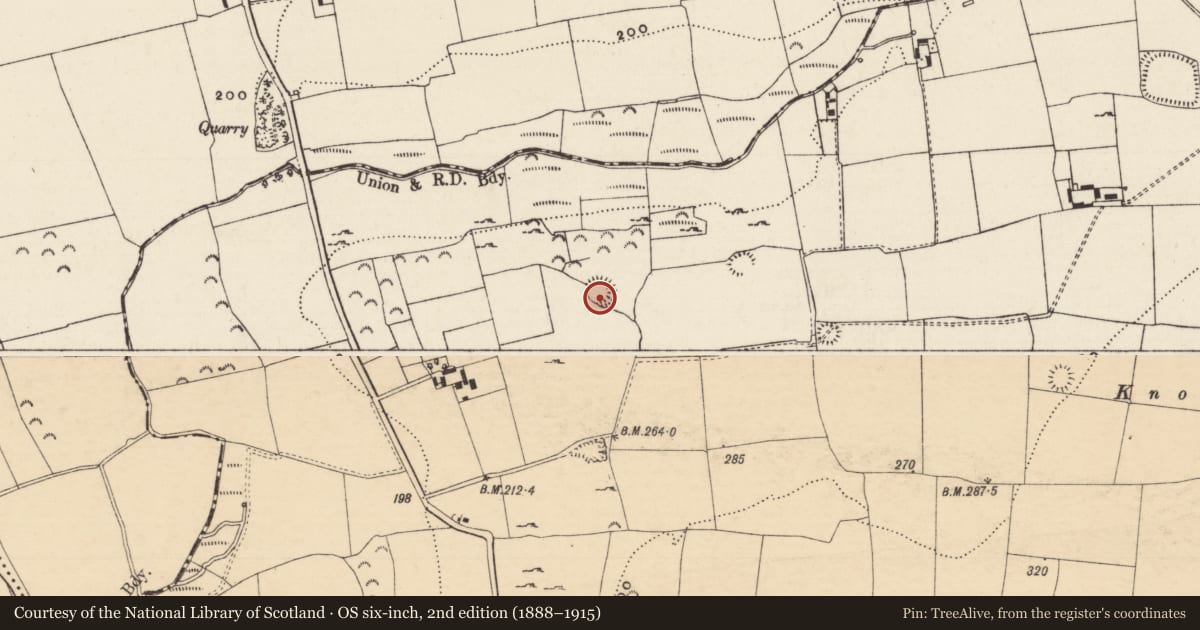 Ordnance Survey six-inch map, 2nd edition (1888–1915) covering the location of Hut site, Knockgraffon, County Tipperary South, with a pin at the register's coordinates