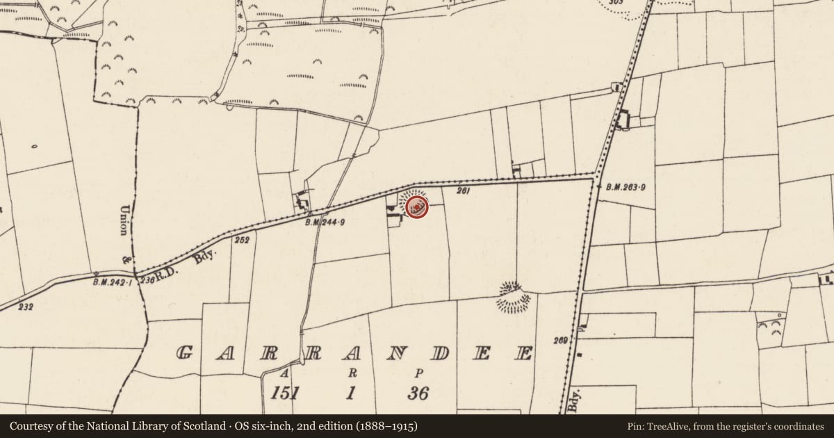 Ordnance Survey six-inch map, 2nd edition (1888–1915) covering the location of Castle - ringwork, Garrandee, County Tipperary South, with a pin at the register's coordinates