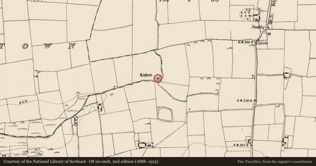 Ordnance Survey six-inch map, 2nd edition (1888–1915) covering the location of Enclosure, Masterstown, County Tipperary South, with a pin at the register's coordinates