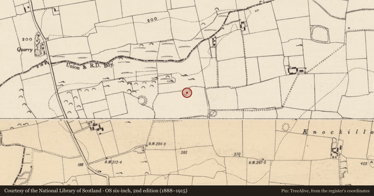 Ordnance Survey six-inch map, 2nd edition (1888–1915) covering the location of Enclosure, Knockgraffon, County Tipperary South, with a pin at the register's coordinates