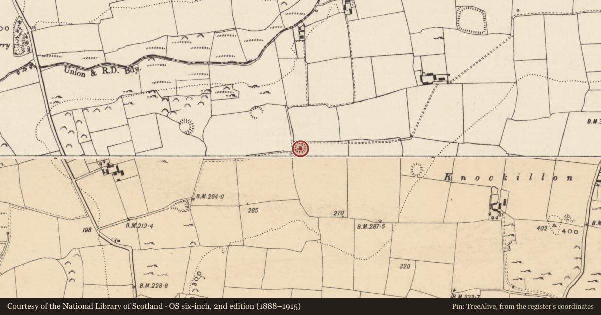 Ordnance Survey six-inch map, 2nd edition (1888–1915) covering the location of Ringfort - rath, Knockgraffon, County Tipperary South, with a pin at the register's coordinates