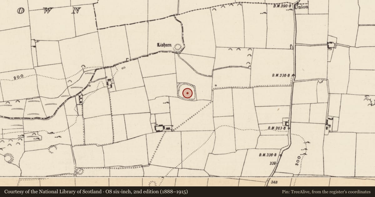 Ordnance Survey six-inch map, 2nd edition (1888–1915) covering the location of Moated site, Knockgraffon, County Tipperary South, with a pin at the register's coordinates