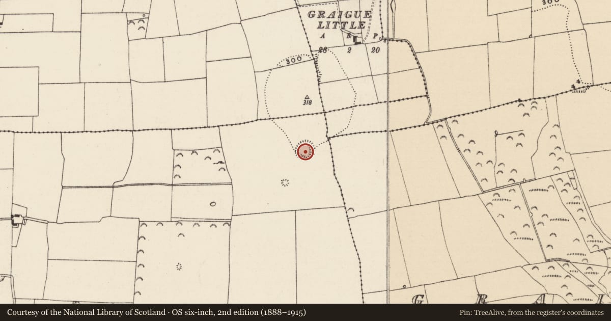 Ordnance Survey six-inch map, 2nd edition (1888–1915) covering the location of Enclosure, Knockgraffon, County Tipperary South, with a pin at the register's coordinates