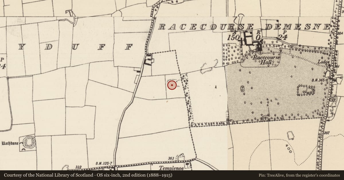 Ordnance Survey six-inch map, 2nd edition (1888–1915) covering the location of Moated site, Shanballyduff (Dangandargan Par.), County Tipperary South, with a pin at the register's coordinates