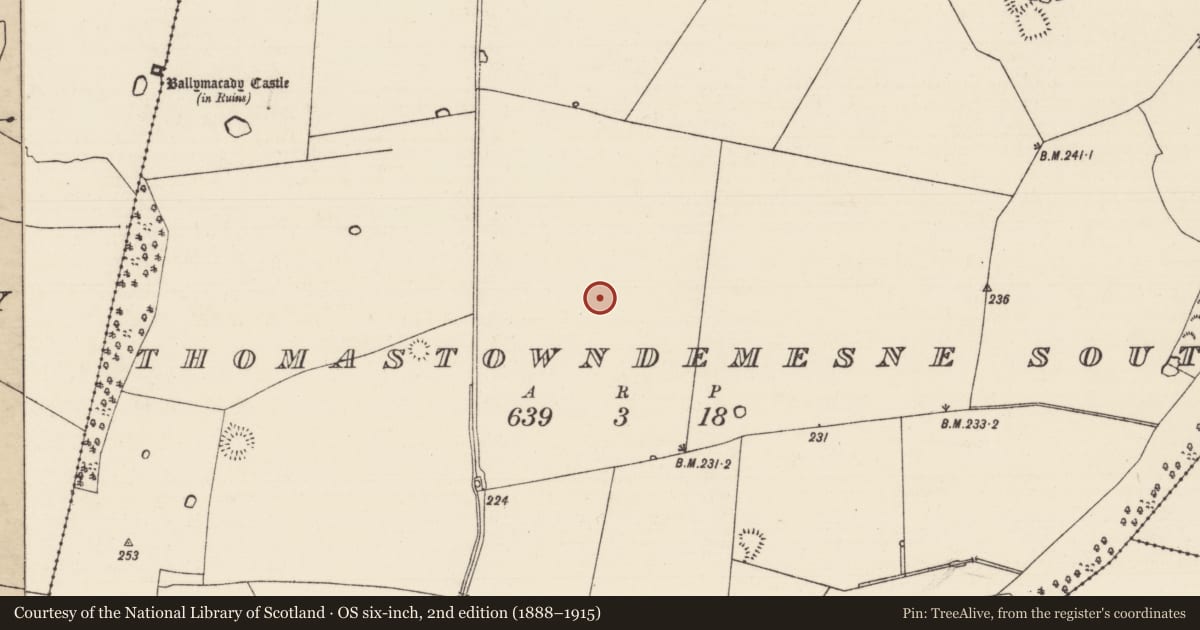 Ordnance Survey six-inch map, 2nd edition (1888–1915) covering the location of Enclosure, Thomastown Demesne South, County Tipperary South, with a pin at the register's coordinates