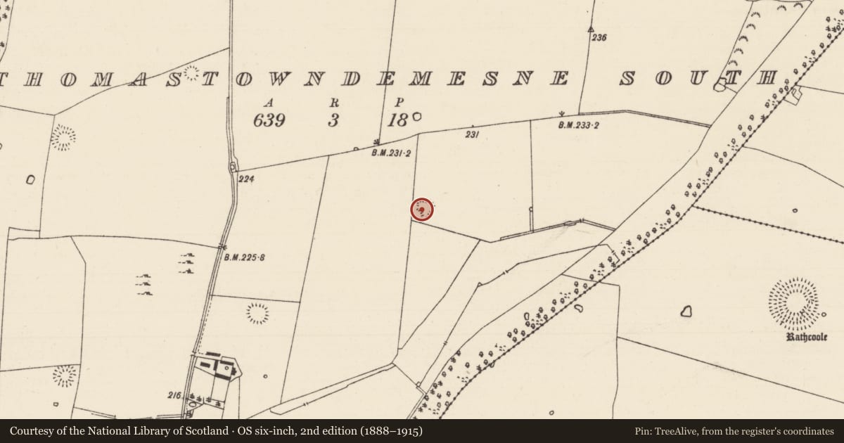 Ordnance Survey six-inch map, 2nd edition (1888–1915) covering the location of Earthwork, Thomastown Demesne South, County Tipperary South, with a pin at the register's coordinates