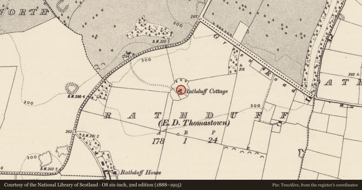 Ordnance Survey six-inch map, 2nd edition (1888–1915) covering the location of Enclosure - large enclosure, Rathduff (Relickmurray & Athassel Par.), County Tipperary South, with a pin at the register's coordinates
