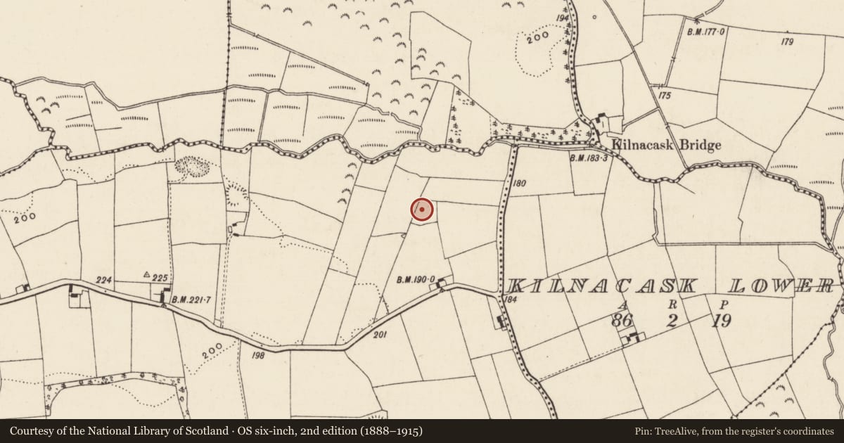 Ordnance Survey six-inch map, 2nd edition (1888–1915) covering the location of Enclosure, Ballygorteen (Clonbullogue Par.), County Tipperary South, with a pin at the register's coordinates