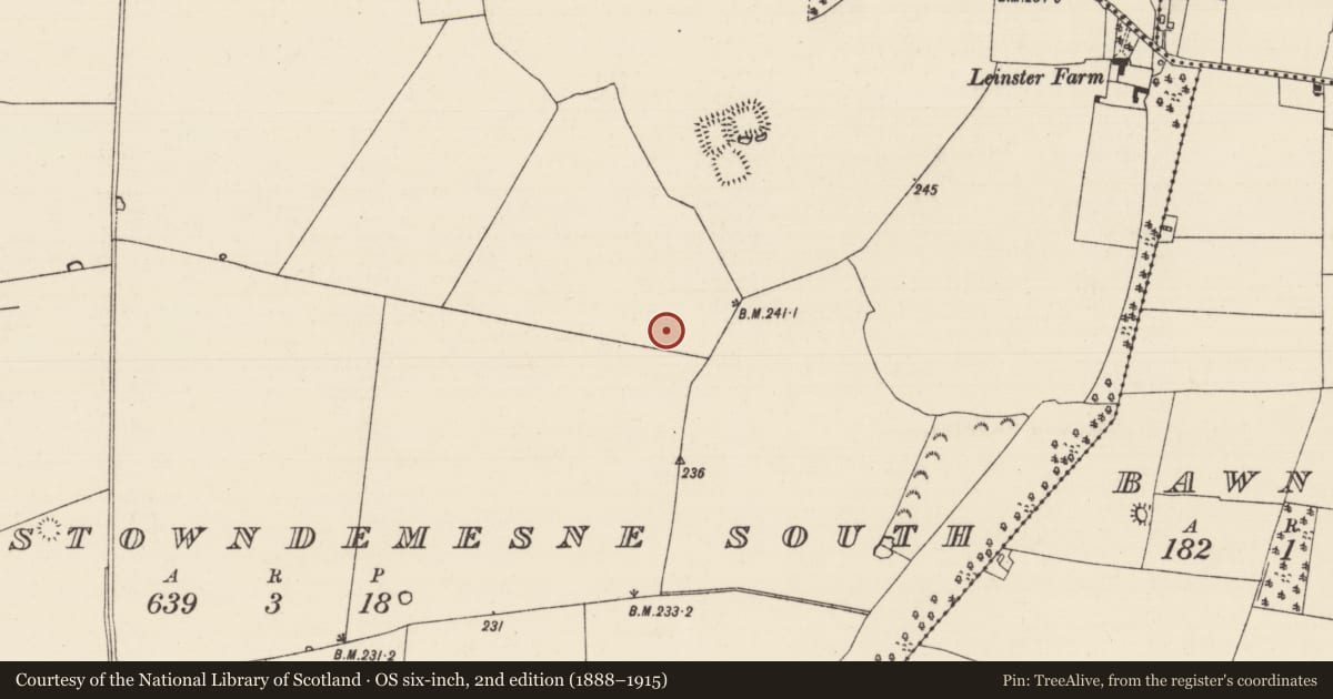 Ordnance Survey six-inch map, 2nd edition (1888–1915) covering the location of Enclosure, Thomastown Demesne South, County Tipperary South, with a pin at the register's coordinates
