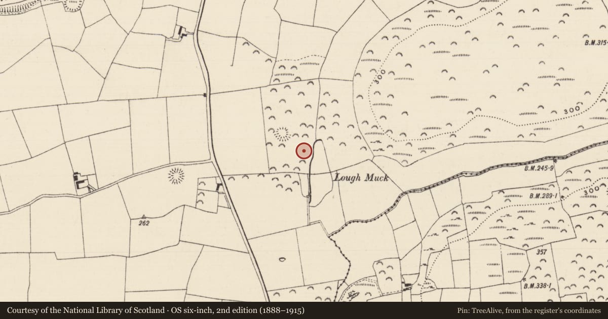 Ordnance Survey six-inch map, 2nd edition (1888–1915) covering the location of Cairn - unclassified, Cloghleigh (Relickmurray & Athassel Par.), County Tipperary South, with a pin at the register's coordinates