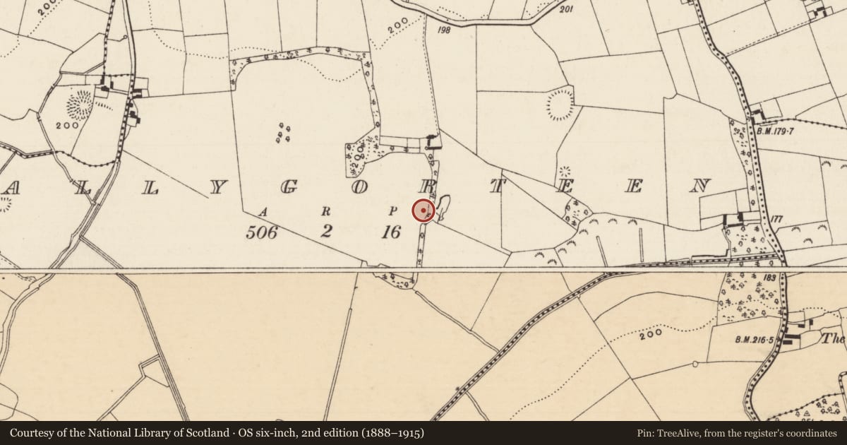 Ordnance Survey six-inch map, 2nd edition (1888–1915) covering the location of Souterrain, Ballygorteen (Clonbullogue Par.), County Tipperary South, with a pin at the register's coordinates