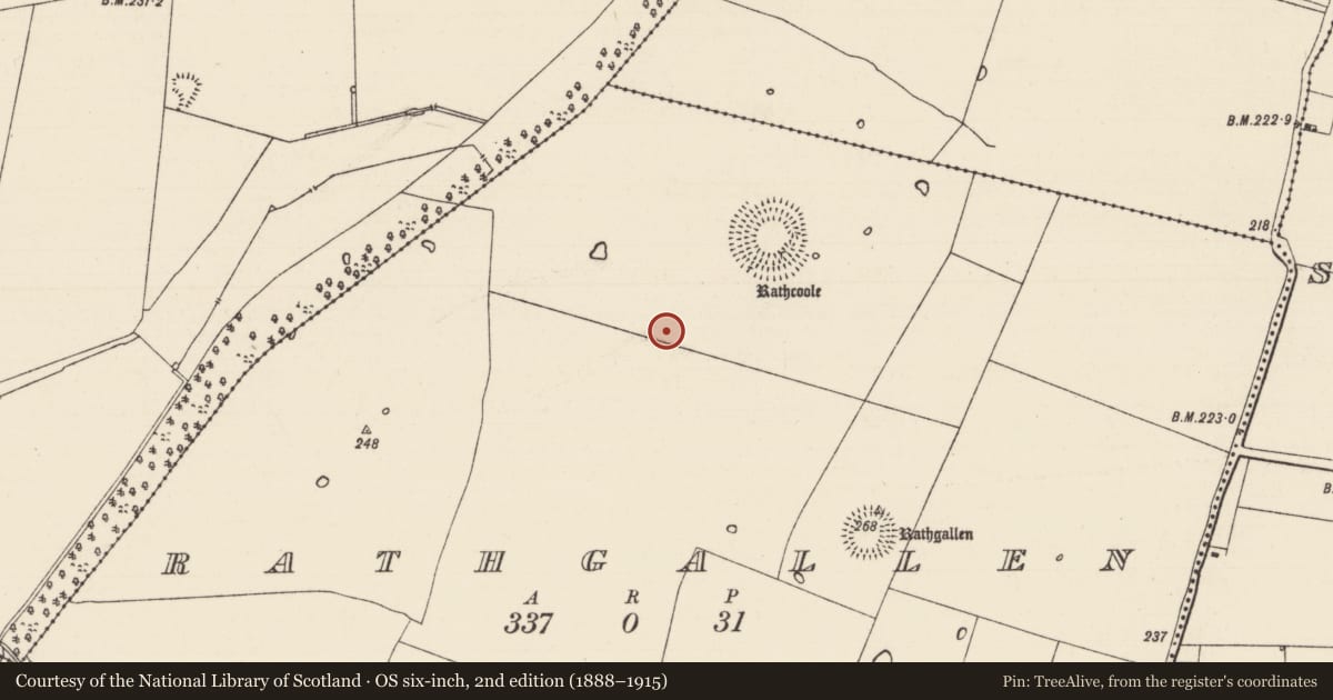 Ordnance Survey six-inch map, 2nd edition (1888–1915) covering the location of Barrow - ditch barrow, Rathgallen, County Tipperary South, with a pin at the register's coordinates
