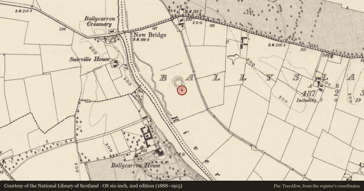 Ordnance Survey six-inch map, 2nd edition (1888–1915) covering the location of Barrow - ring-barrow, Ballyslatteen, County Tipperary South, with a pin at the register's coordinates