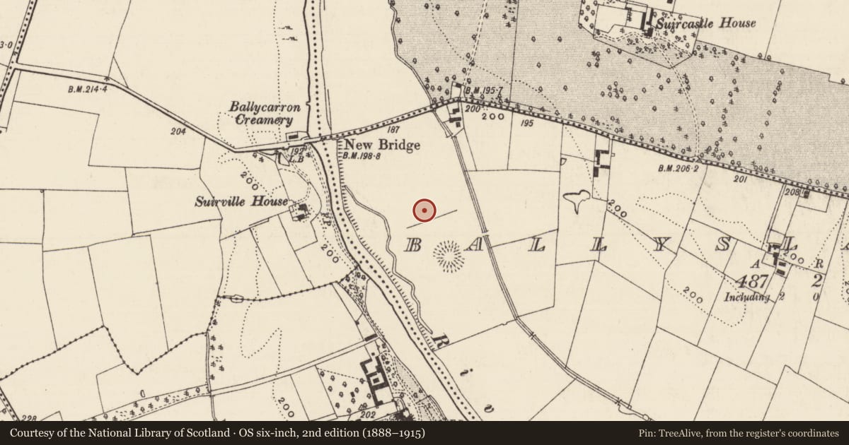 Ordnance Survey six-inch map, 2nd edition (1888–1915) covering the location of Ringfort - rath, Ballyslatteen, County Tipperary South, with a pin at the register's coordinates