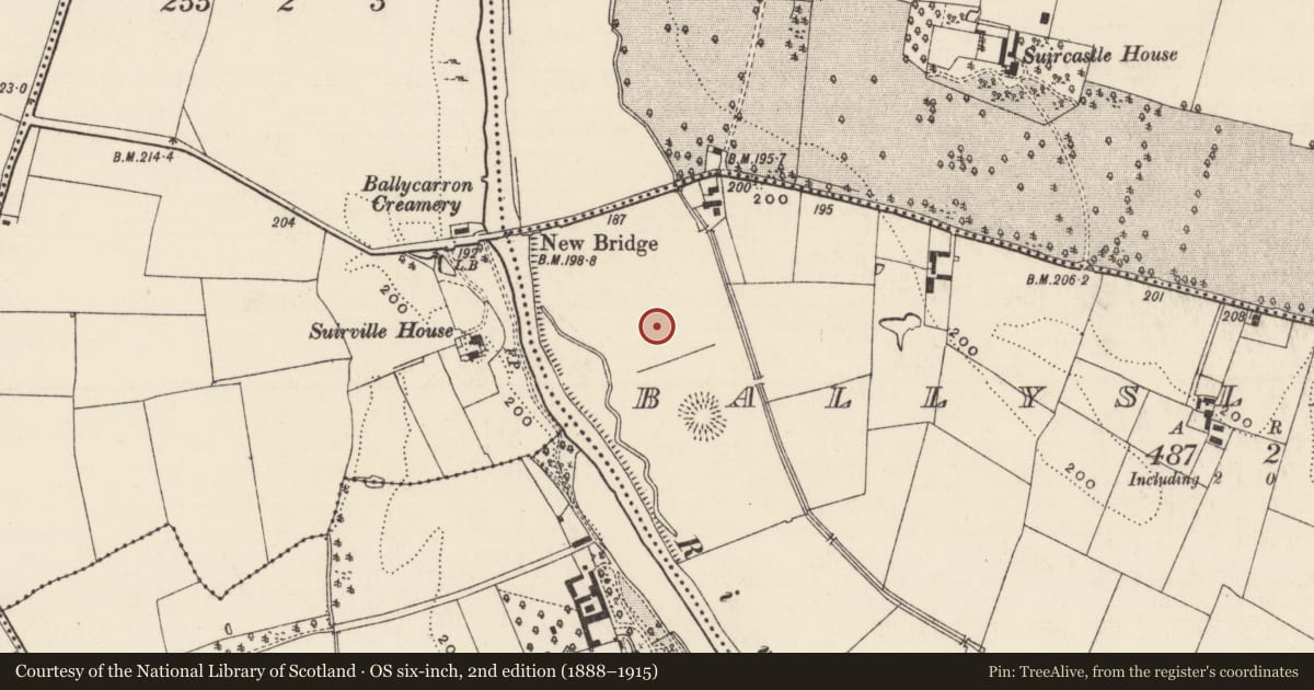 Ordnance Survey six-inch map, 2nd edition (1888–1915) covering the location of Enclosure, Ballyslatteen, County Tipperary South, with a pin at the register's coordinates