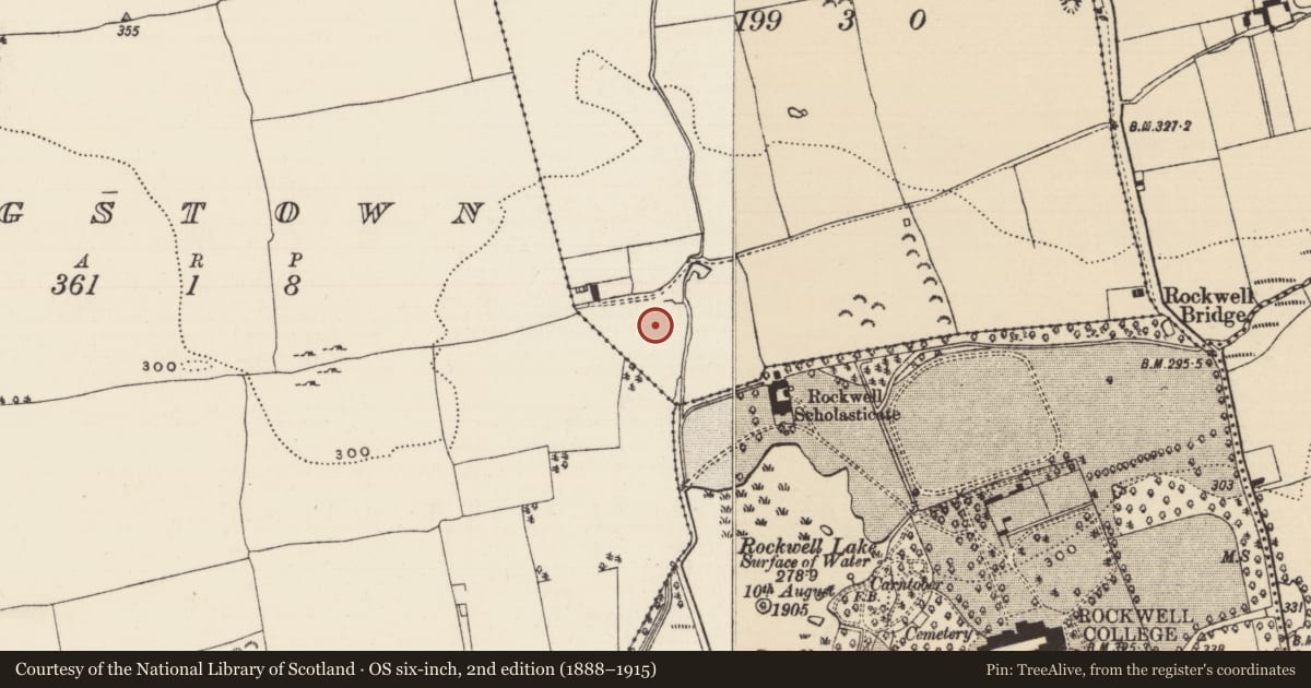Ordnance Survey six-inch map, 2nd edition (1888–1915) covering the location of Field system, Farranliney, County Tipperary South, with a pin at the register's coordinates
