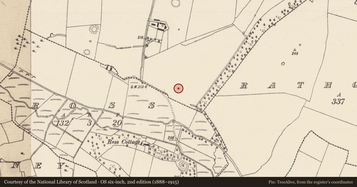 Ordnance Survey six-inch map, 2nd edition (1888–1915) covering the location of Enclosure, Thomastown Demesne South, County Tipperary South, with a pin at the register's coordinates