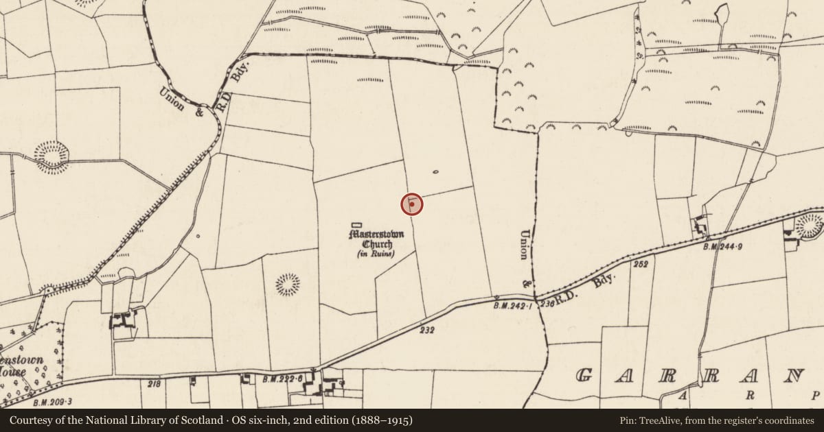 Ordnance Survey six-inch map, 2nd edition (1888–1915) covering the location of Enclosure, Masterstown, County Tipperary South, with a pin at the register's coordinates
