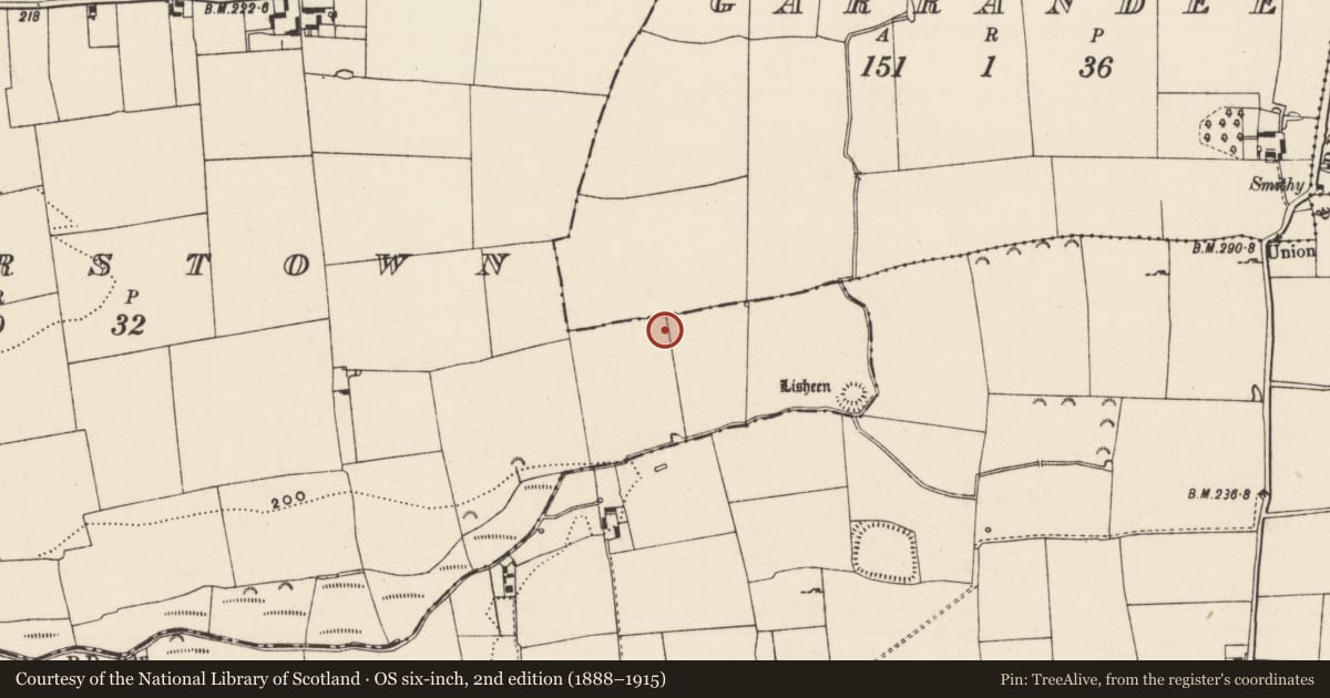 Ordnance Survey six-inch map, 2nd edition (1888–1915) covering the location of Enclosure, Garrandee, Masterstown, County Tipperary South, with a pin at the register's coordinates