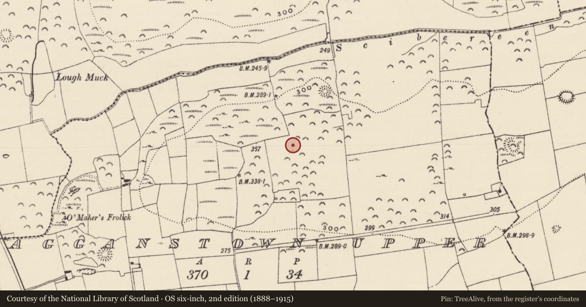 Ordnance Survey six-inch map, 2nd edition (1888–1915) covering the location of Enclosure, Lagganstown Upper, County Tipperary South, with a pin at the register's coordinates