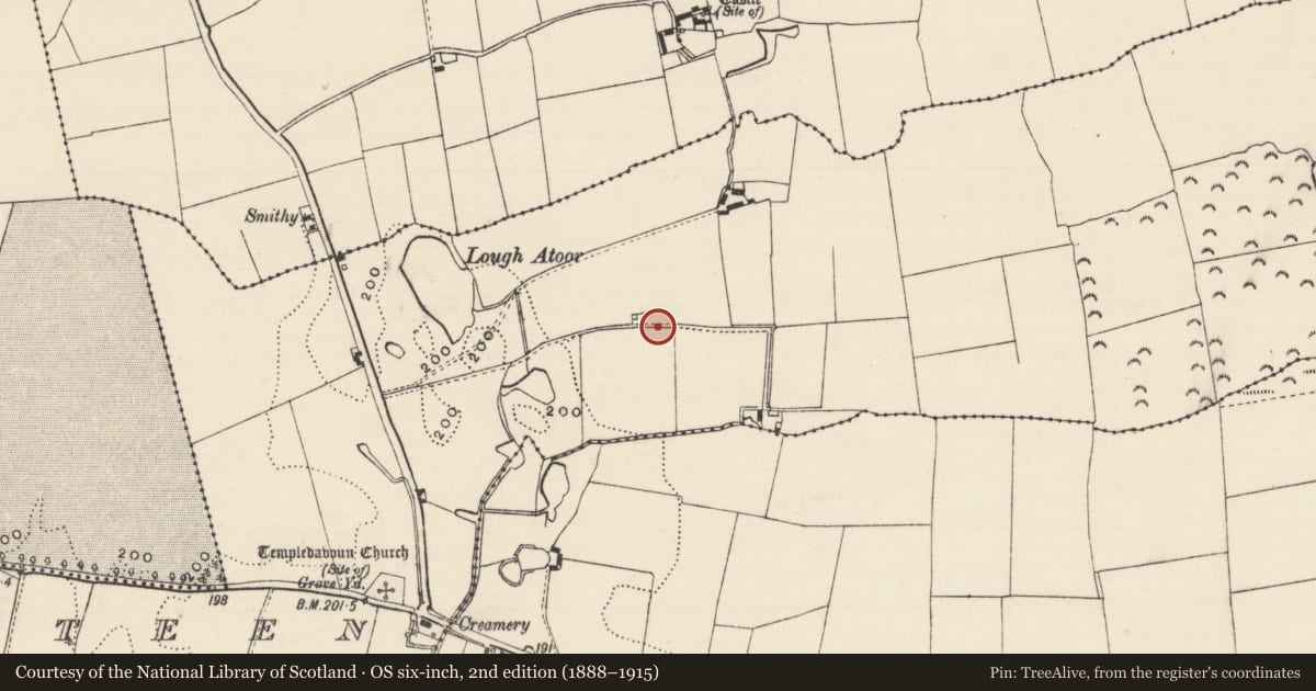 Ordnance Survey six-inch map, 2nd edition (1888–1915) covering the location of Enclosure, Ballyslatteen, County Tipperary South, with a pin at the register's coordinates