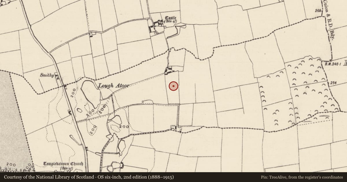 Ordnance Survey six-inch map, 2nd edition (1888–1915) covering the location of Field system, Ballyslatteen, County Tipperary South, with a pin at the register's coordinates