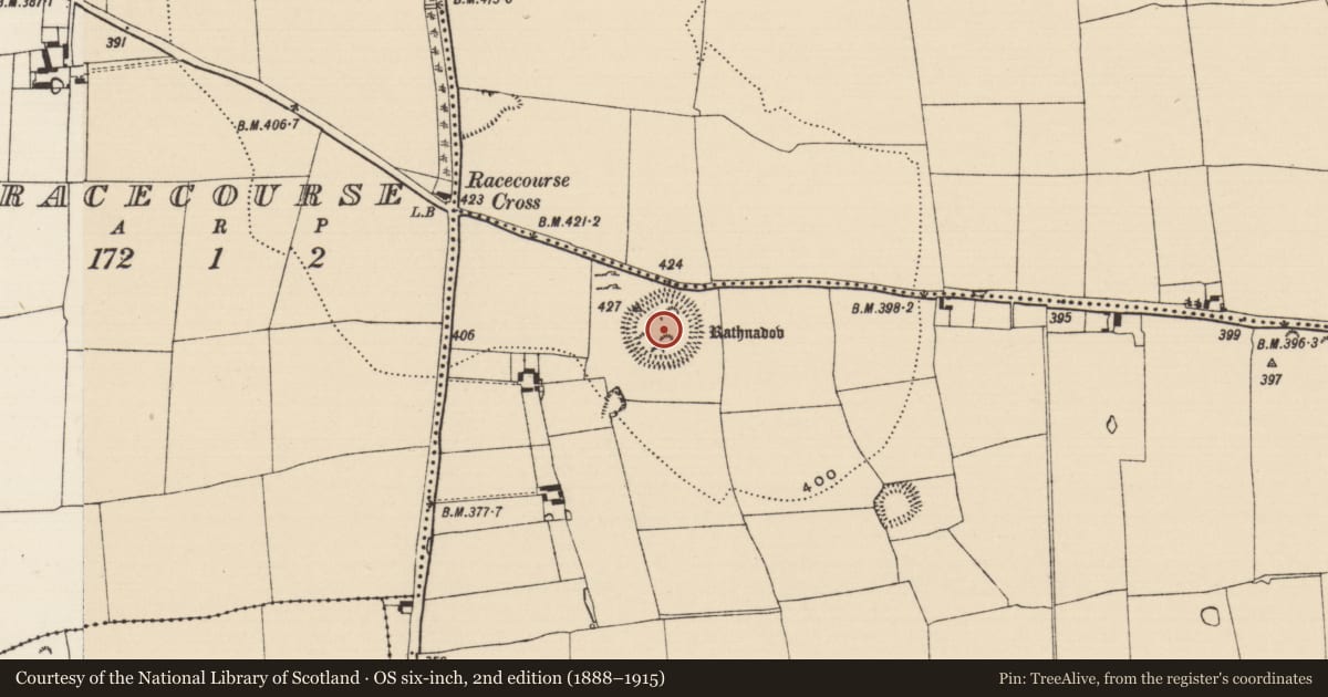 Ordnance Survey six-inch map, 2nd edition (1888–1915) covering the location of Ceremonial enclosure, Carron (St. John Baptist Par.), County Tipperary South, with a pin at the register's coordinates