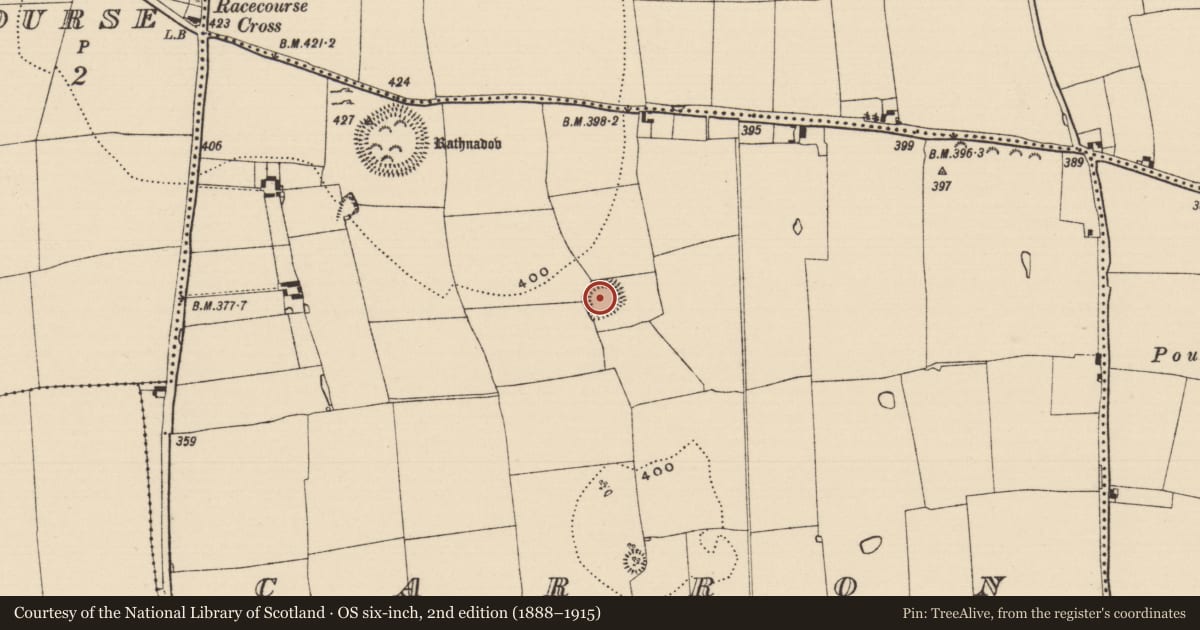 Ordnance Survey six-inch map, 2nd edition (1888–1915) covering the location of Enclosure, Carron (St. John Baptist Par.), County Tipperary South, with a pin at the register's coordinates