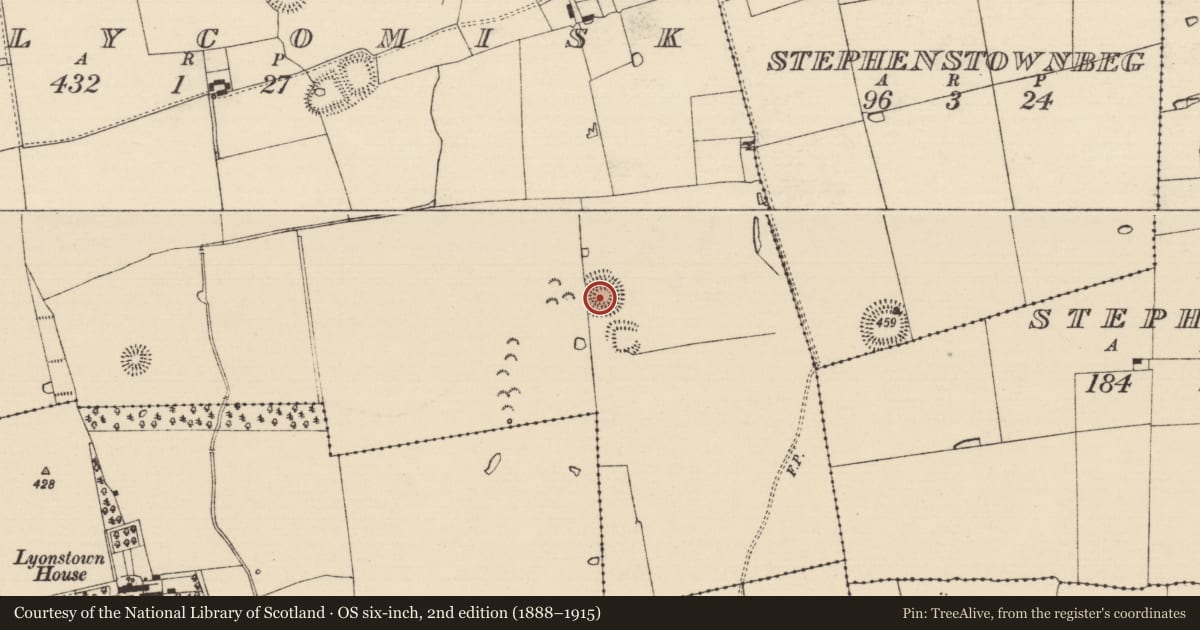 Ordnance Survey six-inch map, 2nd edition (1888–1915) covering the location of Ringfort - rath, Ballycomisk, County Tipperary South, with a pin at the register's coordinates