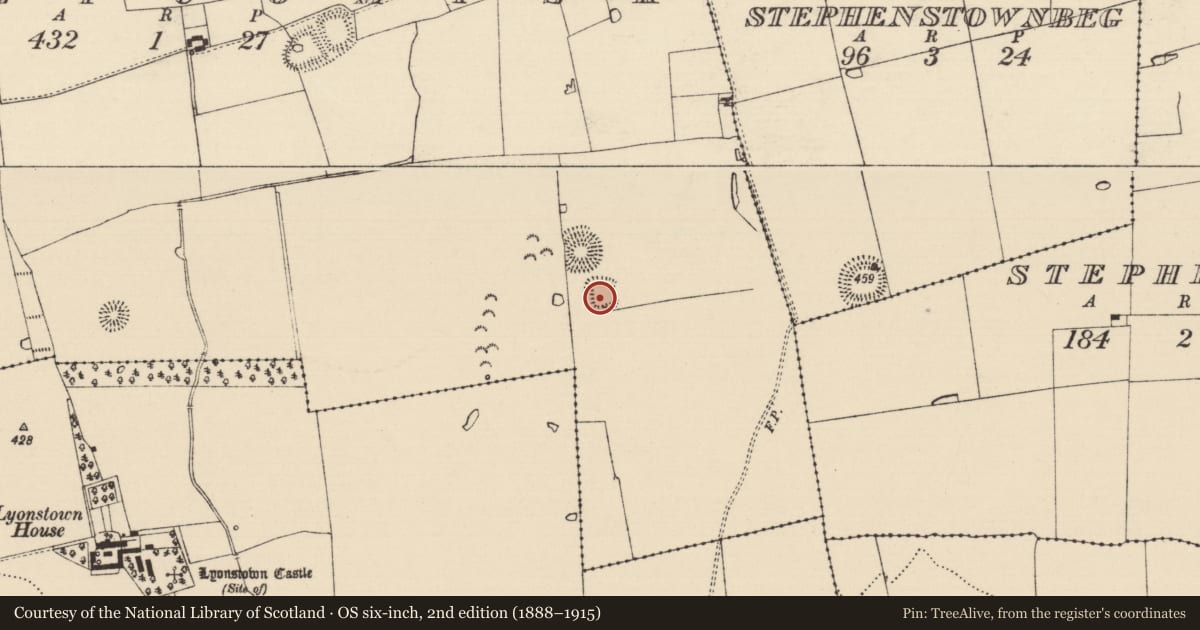 Ordnance Survey six-inch map, 2nd edition (1888–1915) covering the location of Ringfort - rath, Ballycomisk, County Tipperary South, with a pin at the register's coordinates