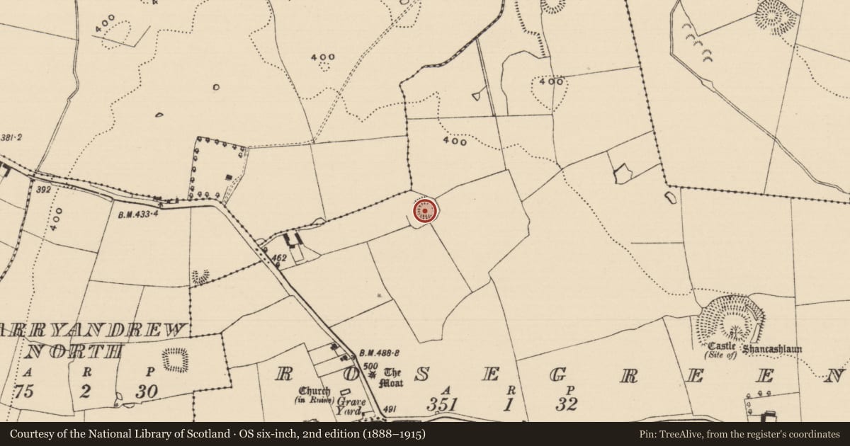 Ordnance Survey six-inch map, 2nd edition (1888–1915) covering the location of Ringfort - rath, Rosegreen, County Tipperary South, with a pin at the register's coordinates