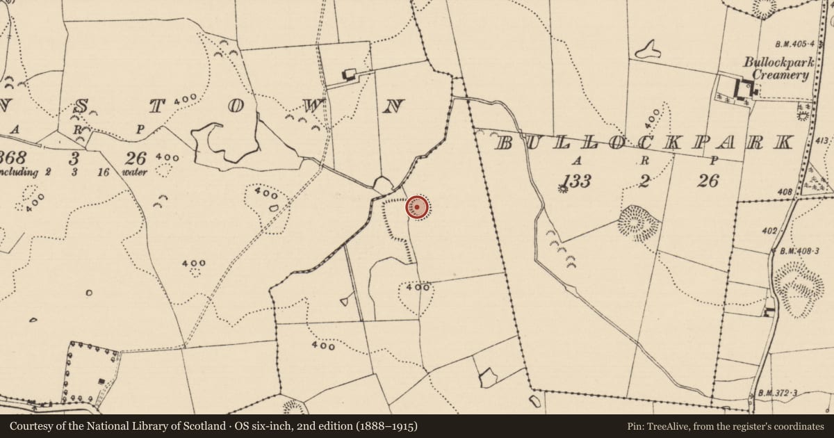 Ordnance Survey six-inch map, 2nd edition (1888–1915) covering the location of Enclosure, Rosegreen, County Tipperary South, with a pin at the register's coordinates